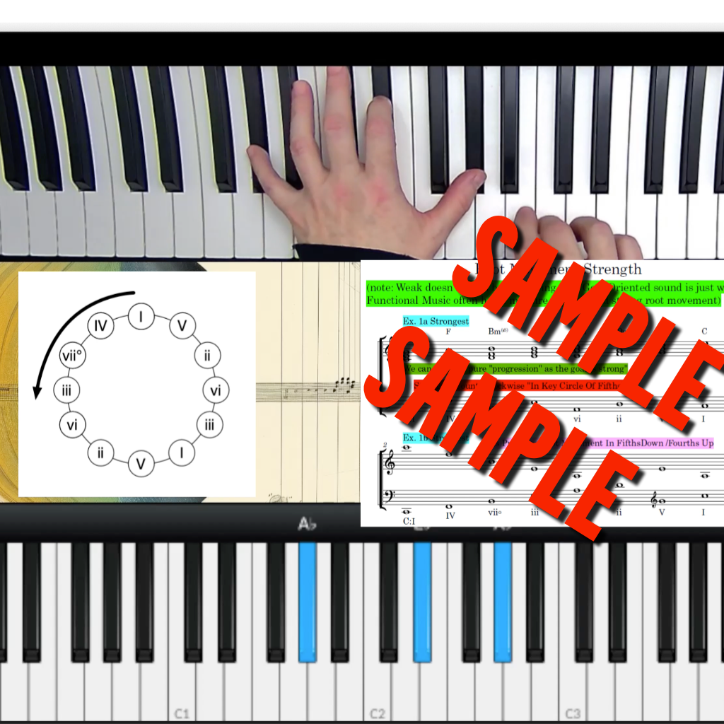 Video Lesson Example